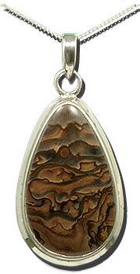 Oregon Deschutes Picture Jasper Silver Pendant