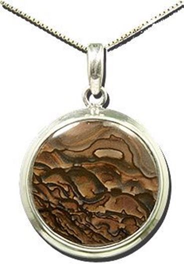 Oregon Deschutes Picture Jasper Silver Pendant