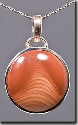 Idaho Bruneau picture Jasper Silver Pendant