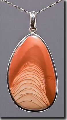 Idaho Bruneau Picture Jasper Silver Pendant