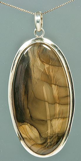 Idaho Bruneau Picture Jasper Silver Pendant