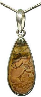 Oregon Morrisonite Jasper Silver Pendant