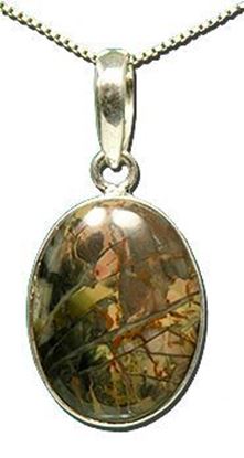 Oregon Morrisonite Jasper Silver Pendant