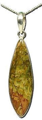 Oregon Morrisonite Jasper Silver Pendant