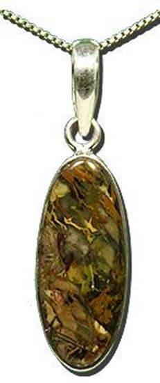 Oregon Morrisonite Jasper Silver Pendant