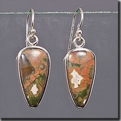 Australian Rainforest Jasper Silver Earrings