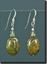 Australian Rainforest Jasper Silver Earrings