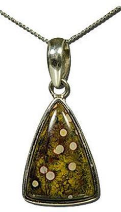 California Morgan Hill Poppy Jasper Silver Pendant