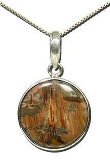 Oregon Morrisonite Picture Jasper Silver Pendant