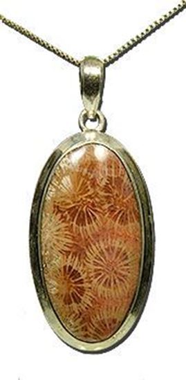 Indonesian Fossil Coral Silver Pendant