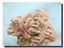 Barite Rose Mineral Specimen
