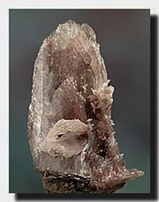 Colemanite Mineral Specimen