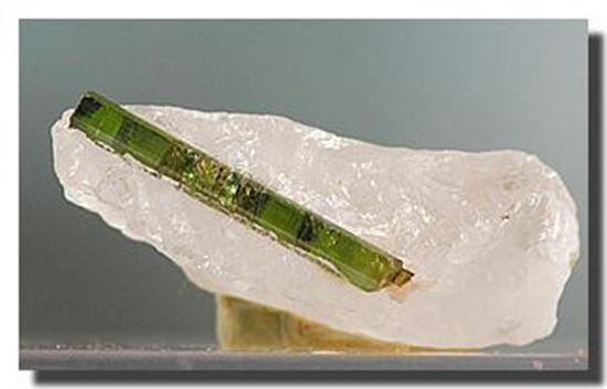 Green Tourmaline in Quartz, Brazil