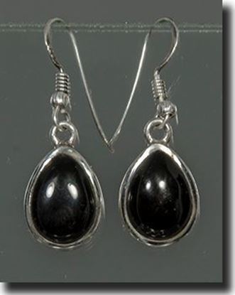 Black Onyx Sterling Earrings