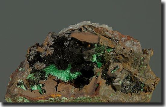 Duftite & Tenorite Mineral Specimen