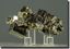 Iron Pyrite Cubes Peru