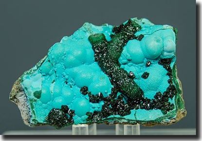 Botryoidal Chrysocolla  mineral specimen