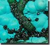 Botryoidal Chrysocolla  mineral specimen